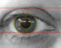 Gst iris image header.png